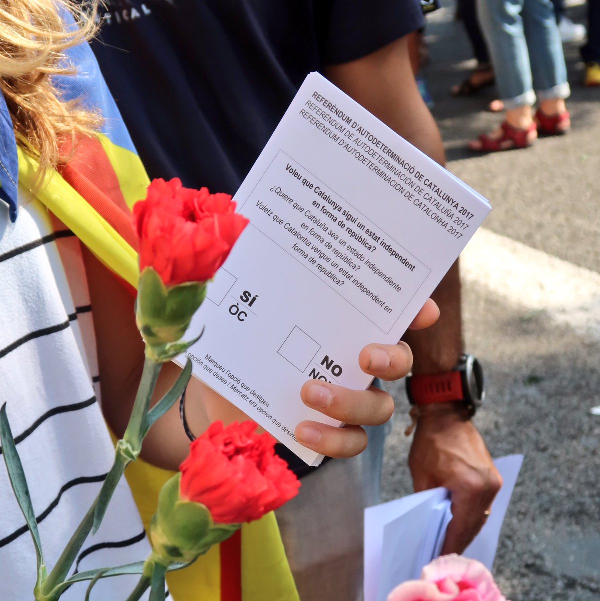 Assemblea Nacional Catalana tweet media