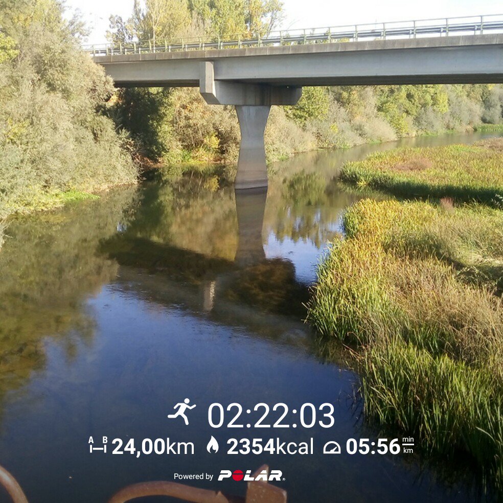 JLBracamonte's tweet photo. #PolarM400 Hasta el puente del Órbigo en Manganeses. 24 Km. #maratonlisboa cada vez más cerca https://t.co/sLFg72d68C
