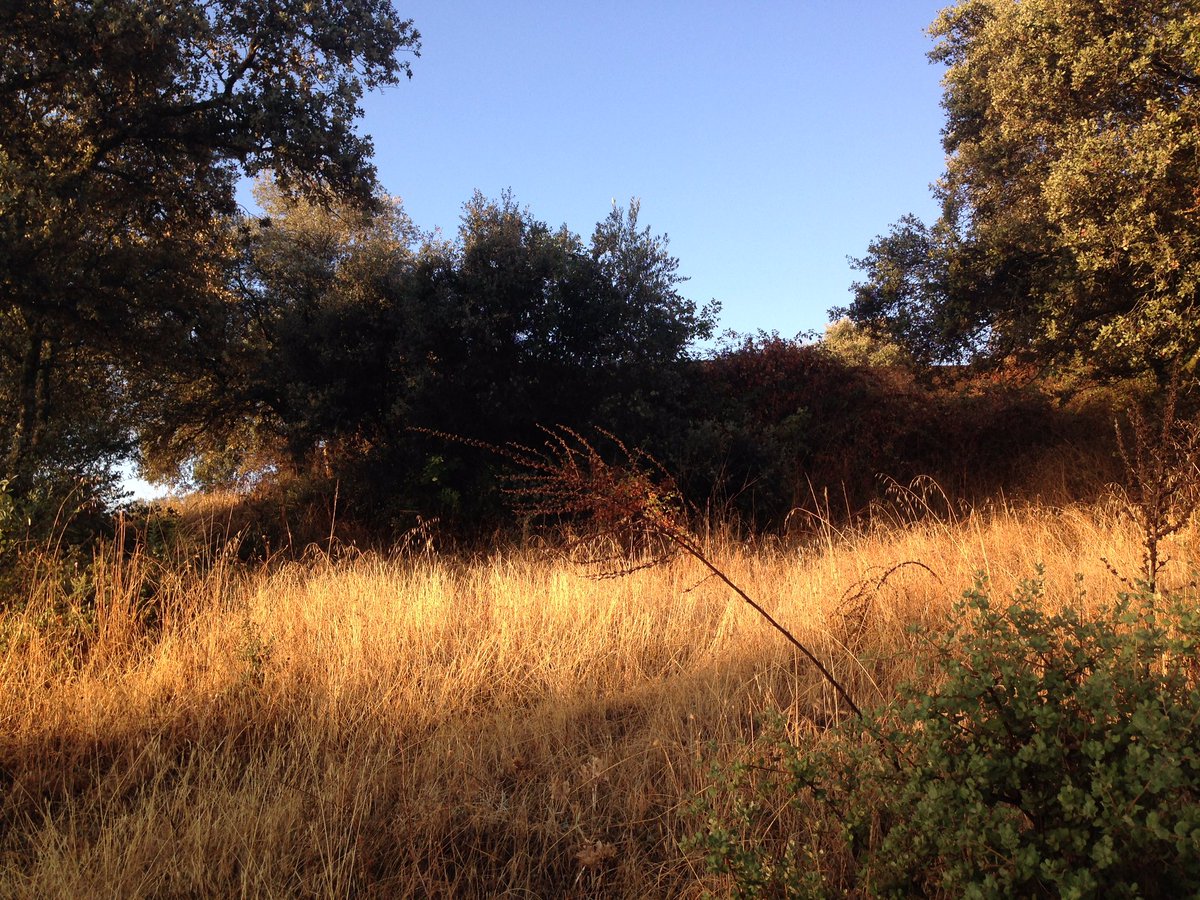 Marcelino7Jesus's tweet image. 