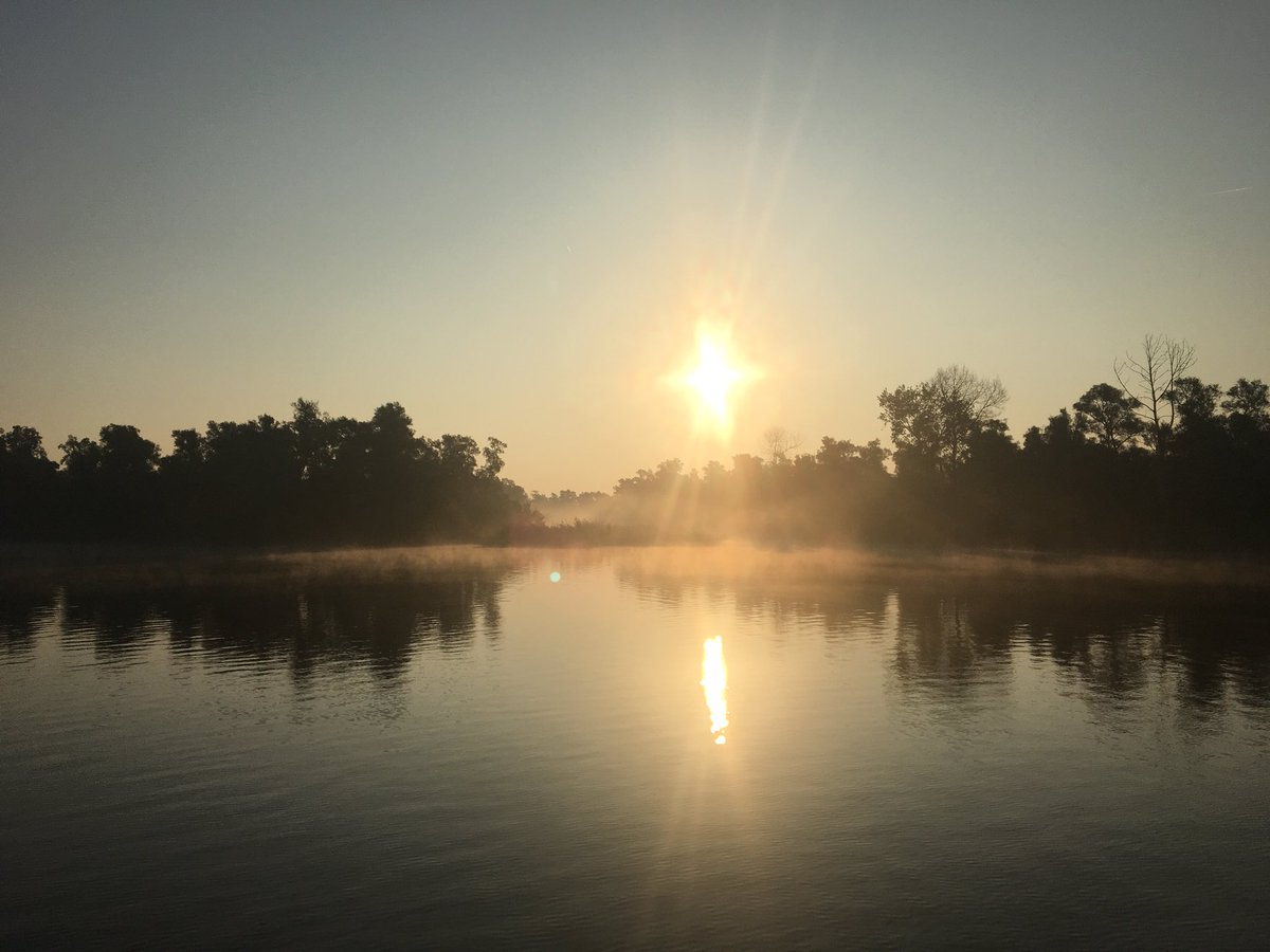 Morgenstond in #biesbosch #beleefdebiesbosch #brabantnacht