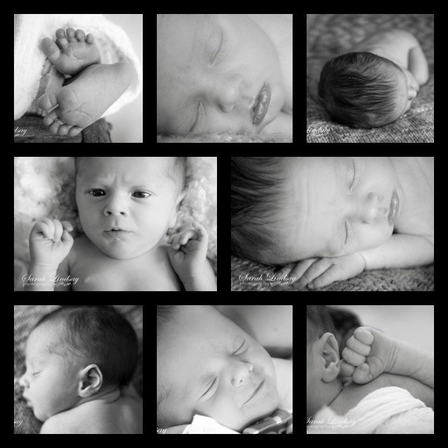 SarahLHogg's tweet photo. This cutie... my camera... baby snuggles... pure love! #sarahlindsayphotography https://t.co/KHjhHjC27L