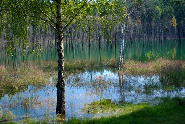 BlaueAmpel_BER photo