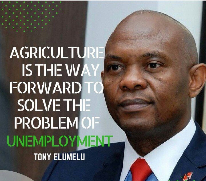 CorporateFarmers Int® (@corpfarmers_int) on Twitter photo "Agriculture is the way forward ➡ to solve the problems of unemployment" <a href="/TonyOElumelu/">Tony O. Elumelu, CFR</a> chairman <a href="/UBAGroup/">UBA Group</a> and <a href="/TonyElumeluFDN/">The Tony Elumelu Foundation</a>
cc <a href="/_MoyoA/">Temiloluwa</a> "Agriculture is the way forward ➡ to solve the problems of unemployment" <a href="/TonyOElumelu/">Tony O. Elumelu, CFR</a> chairman <a href="/UBAGroup/">UBA Group</a> and <a href="/TonyElumeluFDN/">The Tony Elumelu Foundation</a>
cc <a href="/_MoyoA/">Temiloluwa</a>