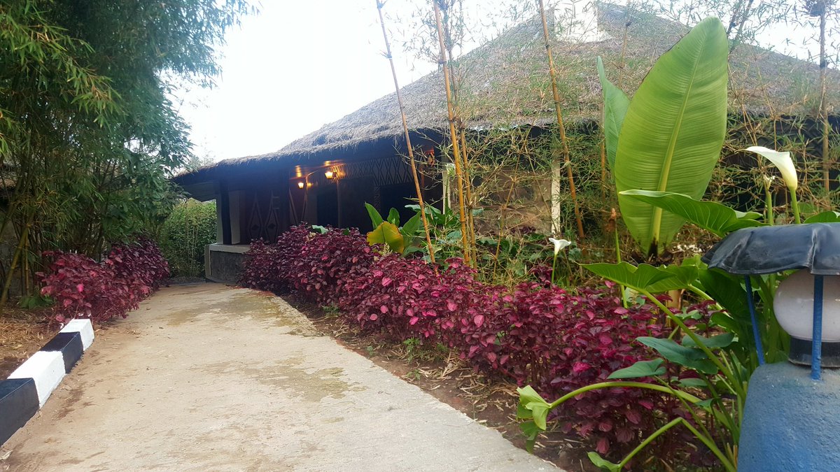 Gorilla in the mist for SAFARIS to Rwanda  visit     rwandagorilla.net <a href="/remarkablerw/">Remarkable Rwanda</a>
Cottage- Le Bambou Gorill