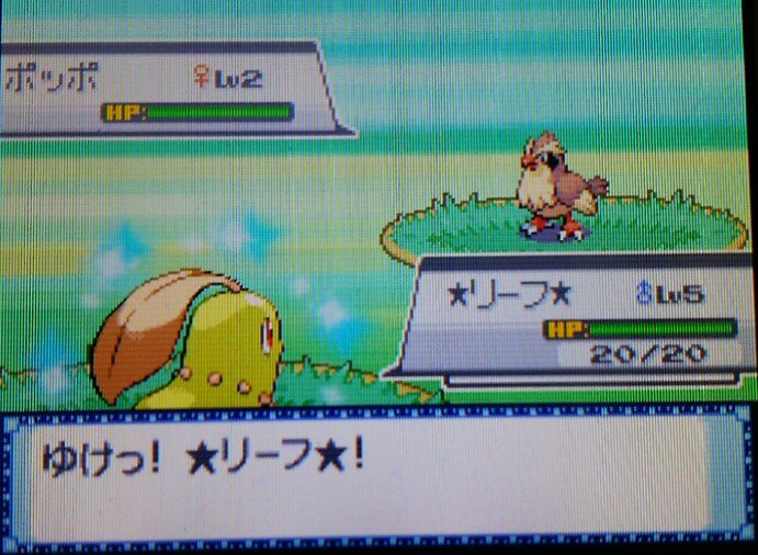 エルの色粘り Twitter