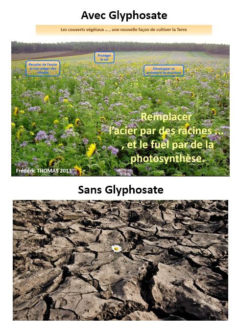🇫🇷 Patrick Hautefeuille tweet media