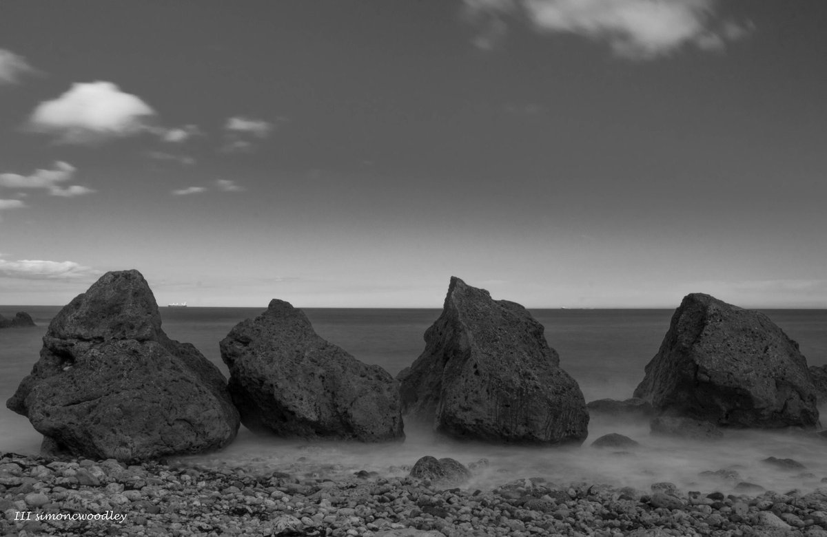 Weekly Photo Comp tweet media