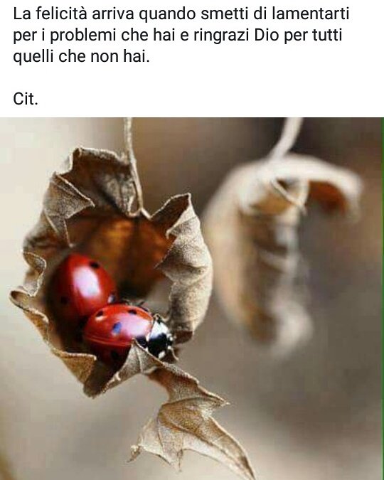 DColarullo's tweet image. 