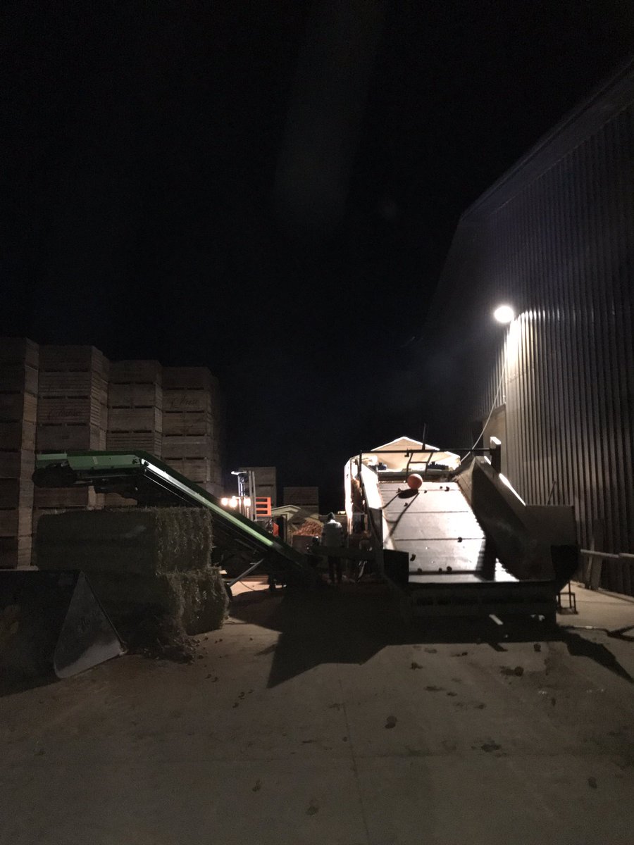 Harry Chase tweet media