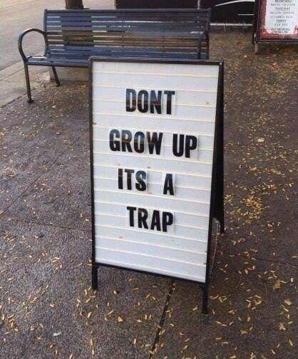 Inspiration Shot tweet media