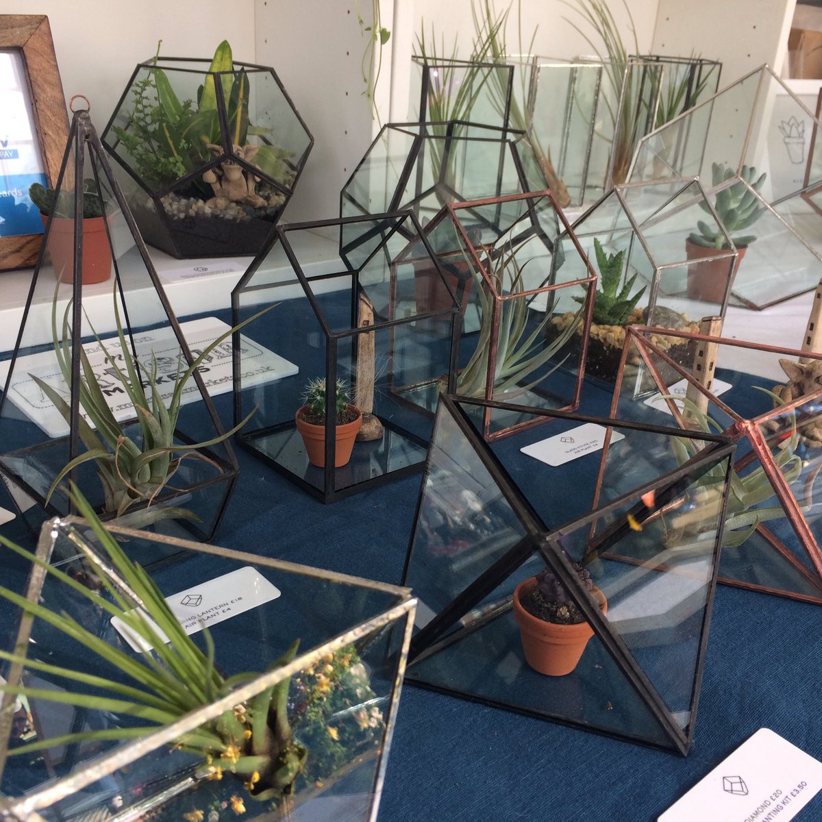 GlassGardener's tweet photo. It's a glorious sunny autumn day here at @treaclemarket today. Here until 3.30 by the town hall #Macclesfield #terrariums #succulents https://t.co/MLkLz0st1n