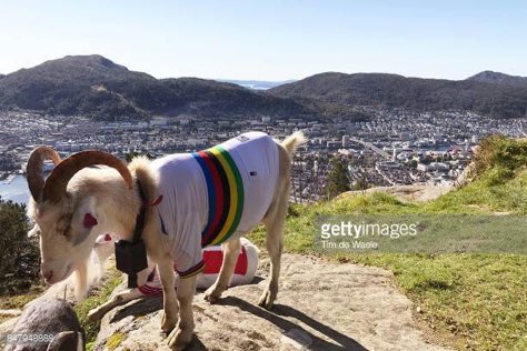 burfix's tweet image. And the winner is .... #Bergen2017