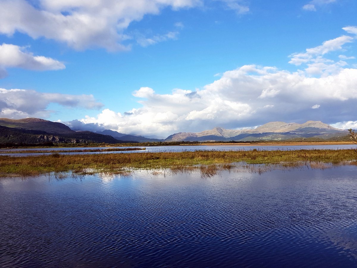 ...(roar)...tumn mist! Frolics available from 29th Sept. Please apply. Cottage for 2 in Snowdonia nr Portmeirion idrisbach.co.uk