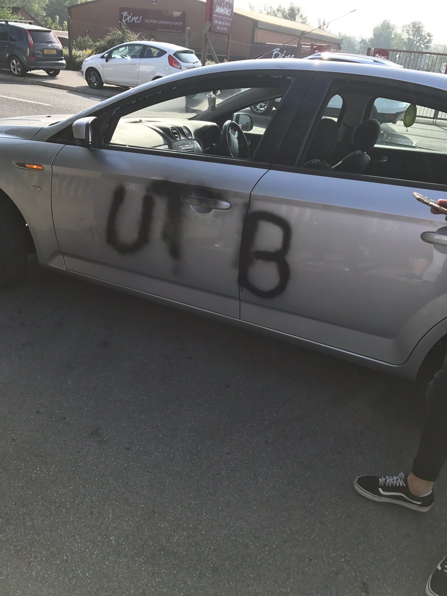 Video Captures Woman Smashing Cars 79 - lestq53