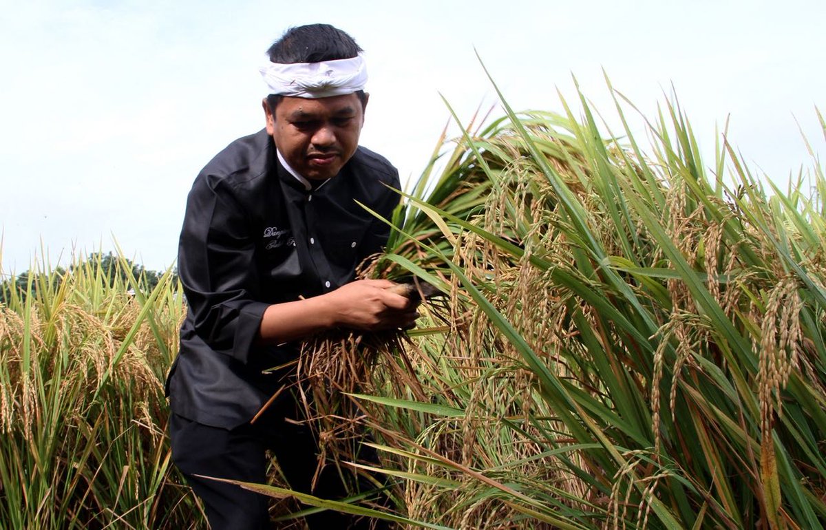 DediMulyadi71's tweet photo. Petani, sosok bersahaja yang berandil besar di negeri ini meski nasibnya tak sebanding dengan kerja kerasnya. Selamat Hari Tani Nasional https://t.co/xycVaft8Tn