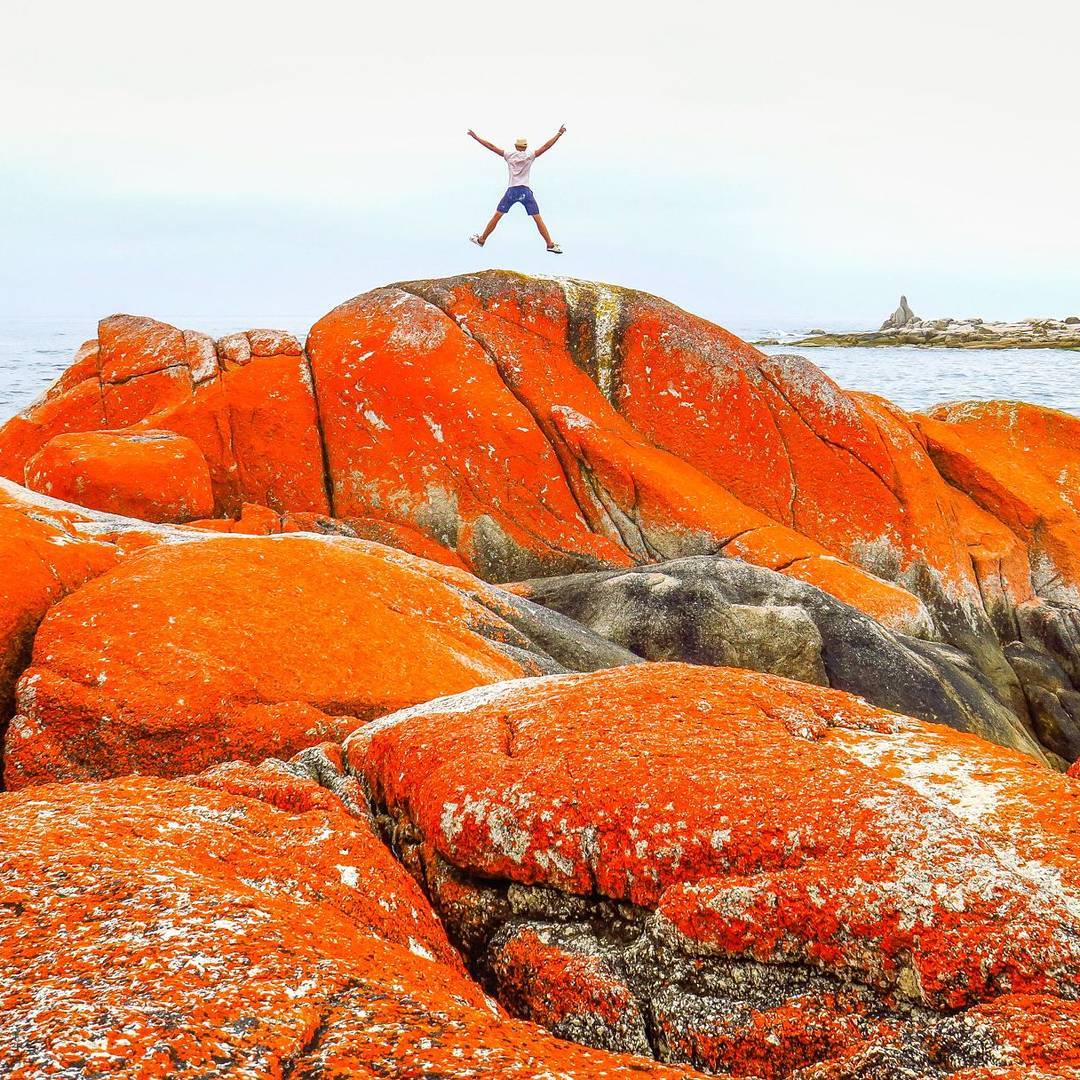 tasmania's tweet photo. With views like this, it's not hard to see why people are jumping for joy! Bay of Fires, East Coast Tasmania (Pic: https://t.co/72V2YF9isA) https://t.co/gPUFYSuB2E