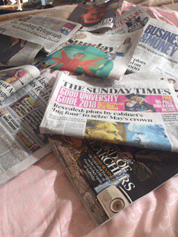 Tweet Media
