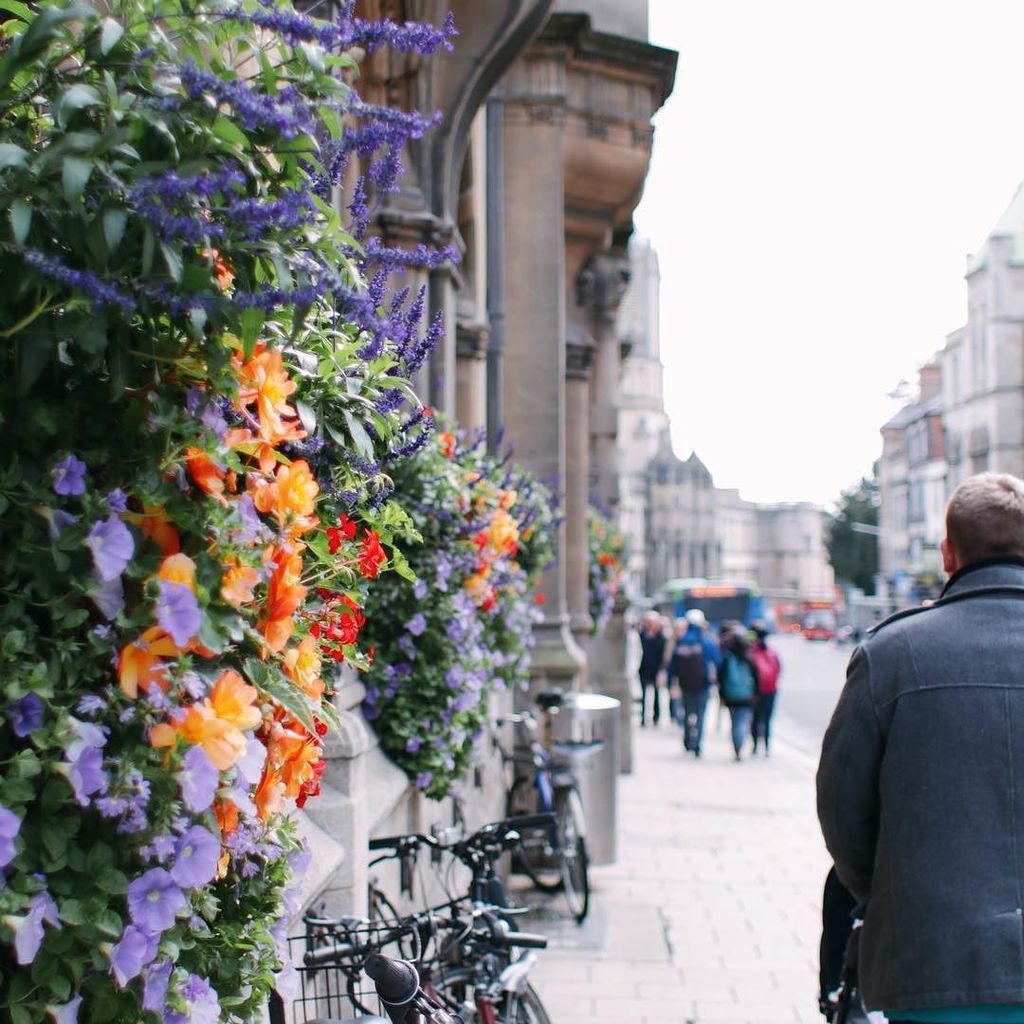 danidunnexo's tweet photo. Pretty Oxford blooms (and the back of my husband’s head...)
.
.
.
.
#Nothingisordinary #petitejoys #flashesofdelig… https://t.co/SQ3fdIcjiM https://t.co/SmFypi54Jb