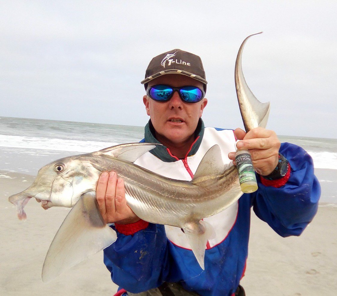 Fish Dynamix tweet media