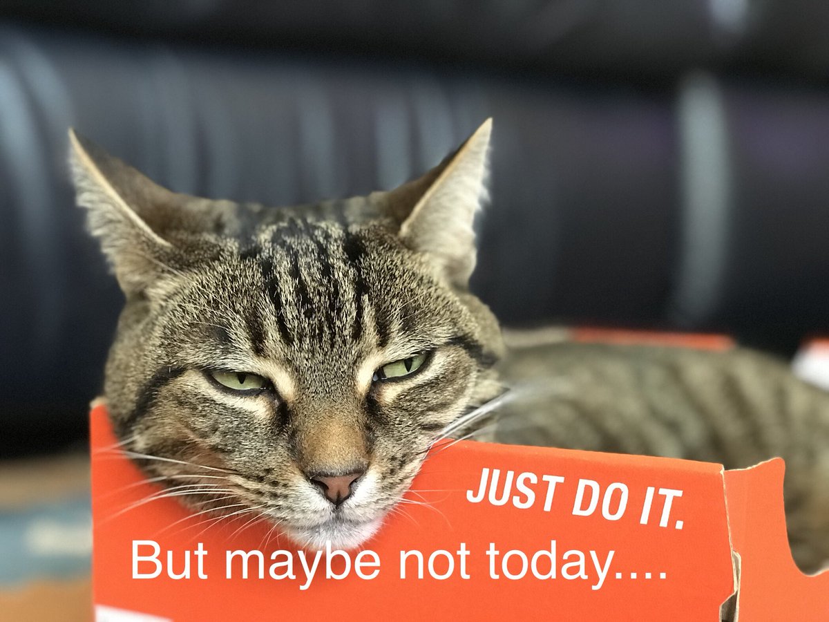 oldtwatt's tweet photo. Weekend feels like ....... https://t.co/13fPlvYf6Q