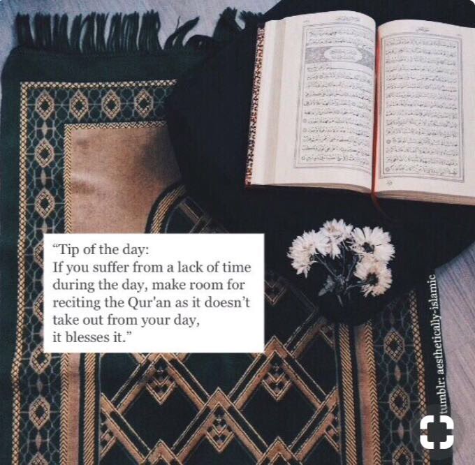 بنت السبيل tweet media