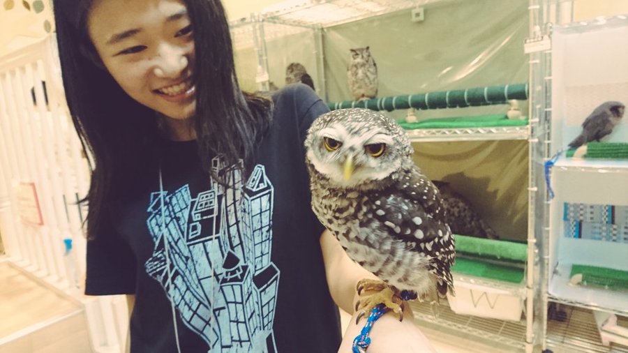 彼女と行きたい 大阪で動物とふれあえるデートスポットは Maple Board