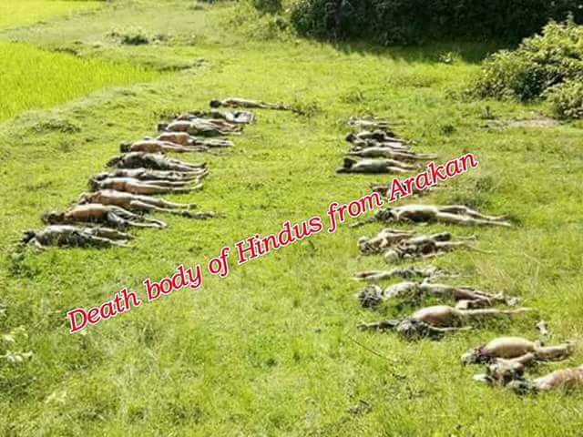 Terrorists Bengali Genocide in northern Rakhaing State ,they killed to the Hindu people in Kamaung port in Maungdaw township.
