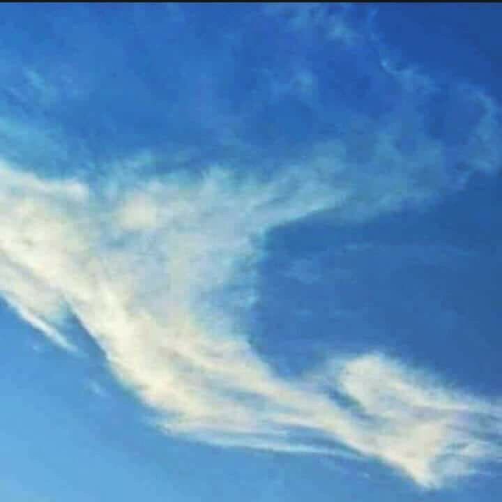 robertorenace's tweet photo. Si muero lejos de ti....
#MexicoEstaDePie
#mexicotequiero https://t.co/kUwMVzghR2