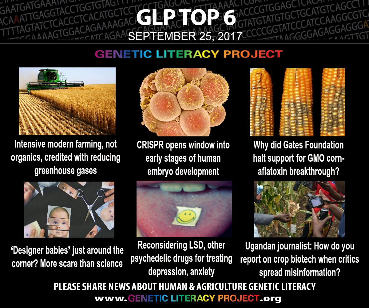 GeneticLiteracy's tweet photo. From this past week, here are the #GLPTop6 among many great stories on human and agricultural genetics: https://t.co/4wt686AUz0 https://t.co/sFf9D2muww