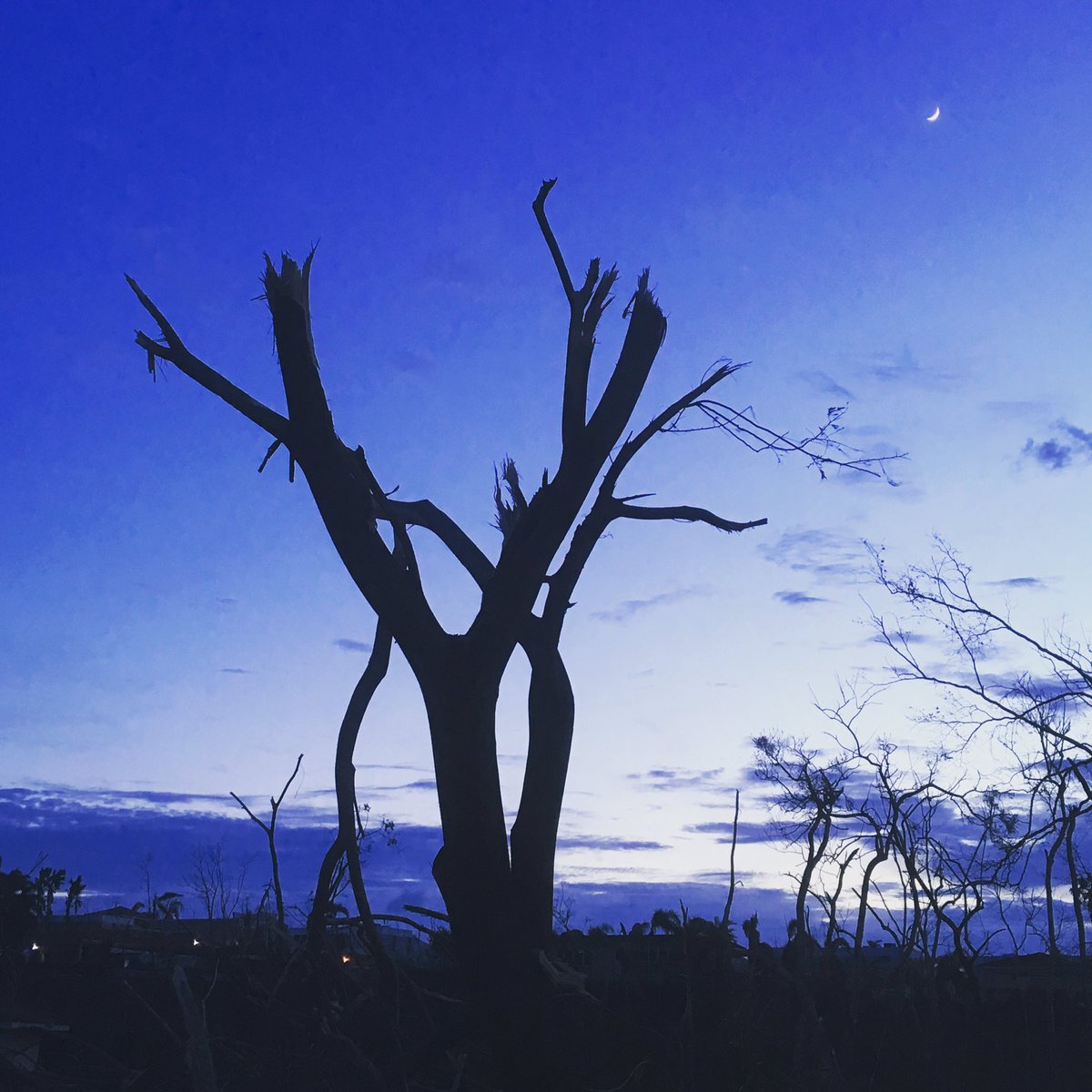 JochiDavila's tweet photo. Wishbone !!! Puerto Rico Arriba!!!!#71associates https://t.co/BaGN0w2pUB