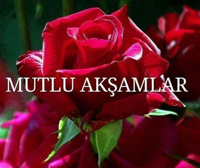 Пусть день принесет только хорошее и удачу. С ними принесет хорошие. Открытки пусть новый день приносит радость. С ними принесет хорошие. Картинка пожелание радости.