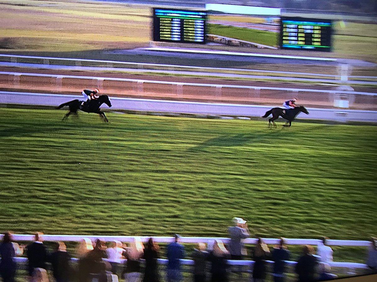 LennonAnnette's tweet photo. DORCIA!! Derby, Oaks and now Stockholm Cup winner. P-A Graberg riding for the 1st time Jr Reuterskiold winning for 1st time https://t.co/kjCET0uX5s
