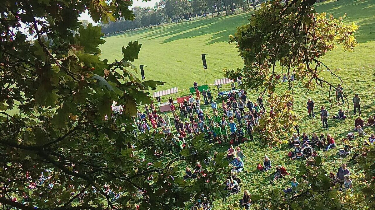 Protest tegen snelweg verbreding bij Amelisweerd. Vanuit de boom.