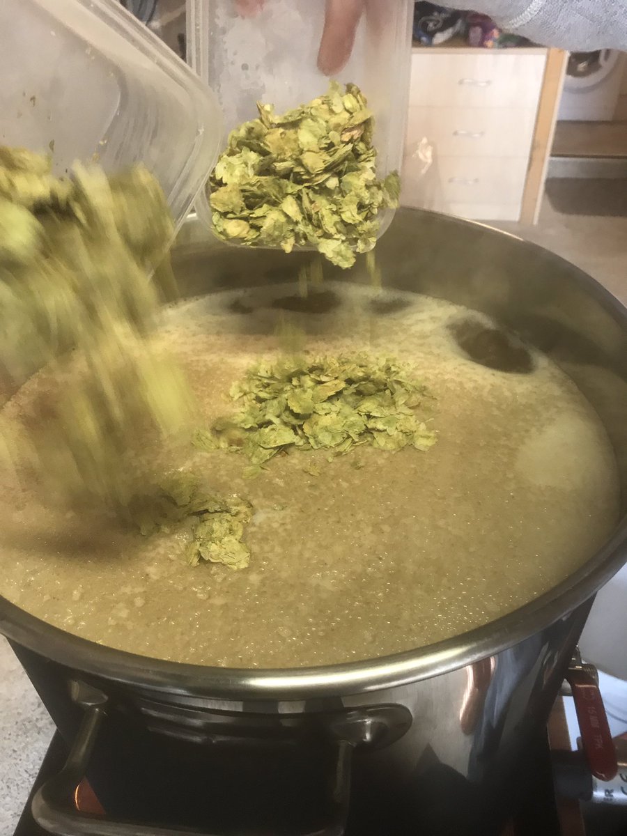 OutsideTap's tweet image. Hops!! Lots hops!!! Gamble IPA looking and smelling amazing! Can't wait to taste it! 
#homebrew #IPA #beer #hailstormbrewery