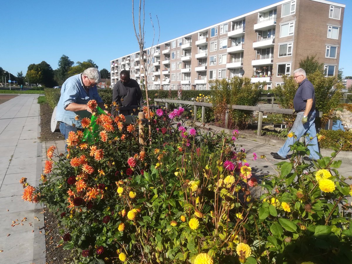 GroenvoorRood's tweet photo. Iedereen, alle vrijwilligers zijn hard bezig om het project Goen voor Rood klaar te maken voor het festival "vernuver die"! https://t.co/KduM1wXmuP