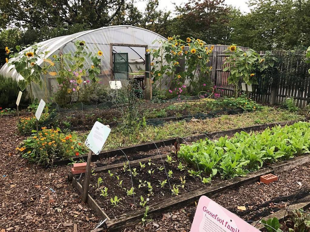 It was inspiring to get a little sneaky peek into the @growingcommunities market garden in Clissold Park yesterday… ift.tt/2jTL9KU