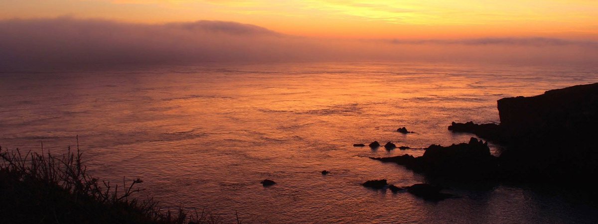 Pembs Gems tweet media