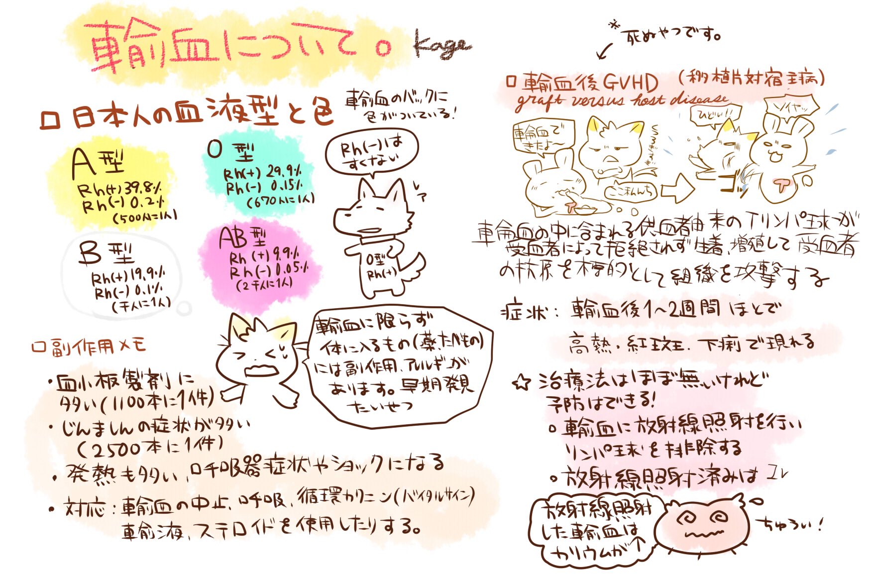 看護師のかげさん イラスト看護帖書籍化 Twitter Da 輸血についてメモ2 輸血後gvhdについて 血小板製剤は副作用が出る割合が他のものに比べて高い 血液型