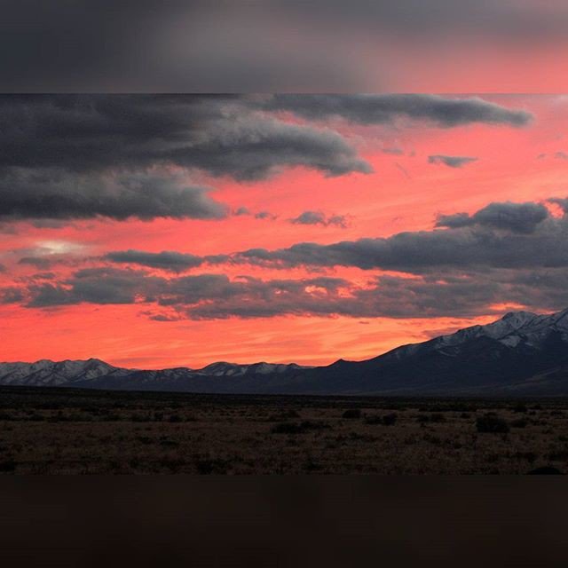 KikayRustia's tweet image. Reposting @toni_tj5:
•••
🌇🌇🌇🌇
•••
·
·
·
#sunset #sky #sunsets #sunsetlovers #sunset_pics #sunsetporn #sunset_hub #sun #nature