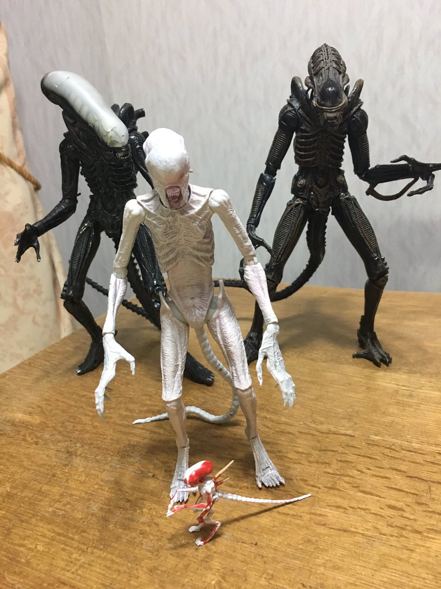 そういや昨日ネオモーフ届いた！ 最後に買ったネカ製のエイリアンは