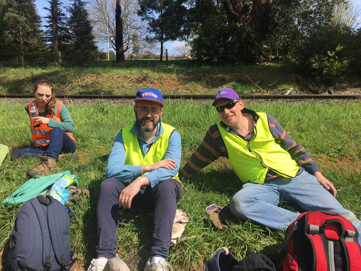 nicktfield's tweet photo. @cubepublicvalue corporate volunteering day cutting back holly along the Puffing Billy tracks in Belgrave #PublicValueOnTour https://t.co/43f52bUz2c