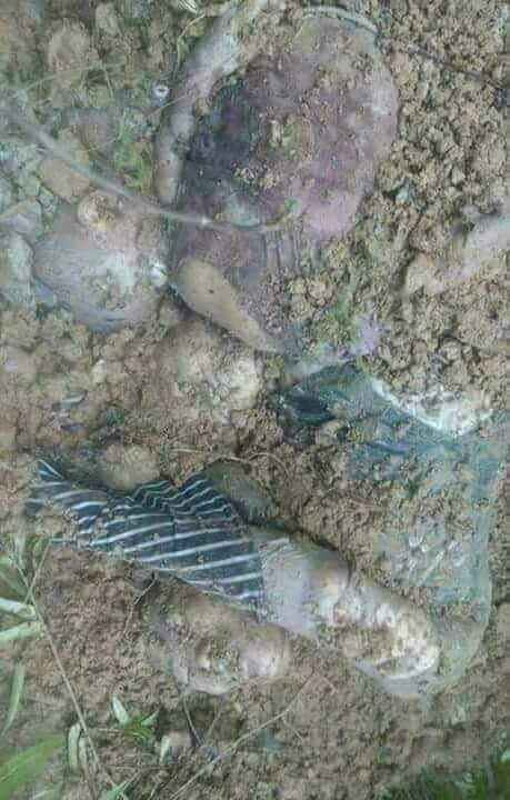 A total of 92 hindus people were killed by bangali terrorists during the terrorists' simultaneous attacks on 30 police posts and the army.