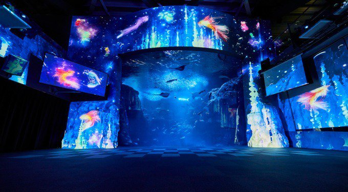 fashionpressnet's tweet photo. 新江ノ島水族館「ナイトワンダーアクアリウム」新展示がスタート - 星空×深海の煌めくファンタジー - https://t.co/1mPYBBrc7M https://t.co/EoMHtpJWac