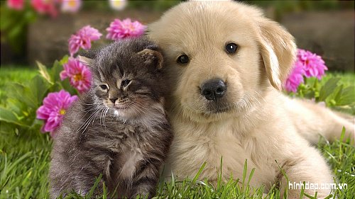 AddisionL's tweet image. 