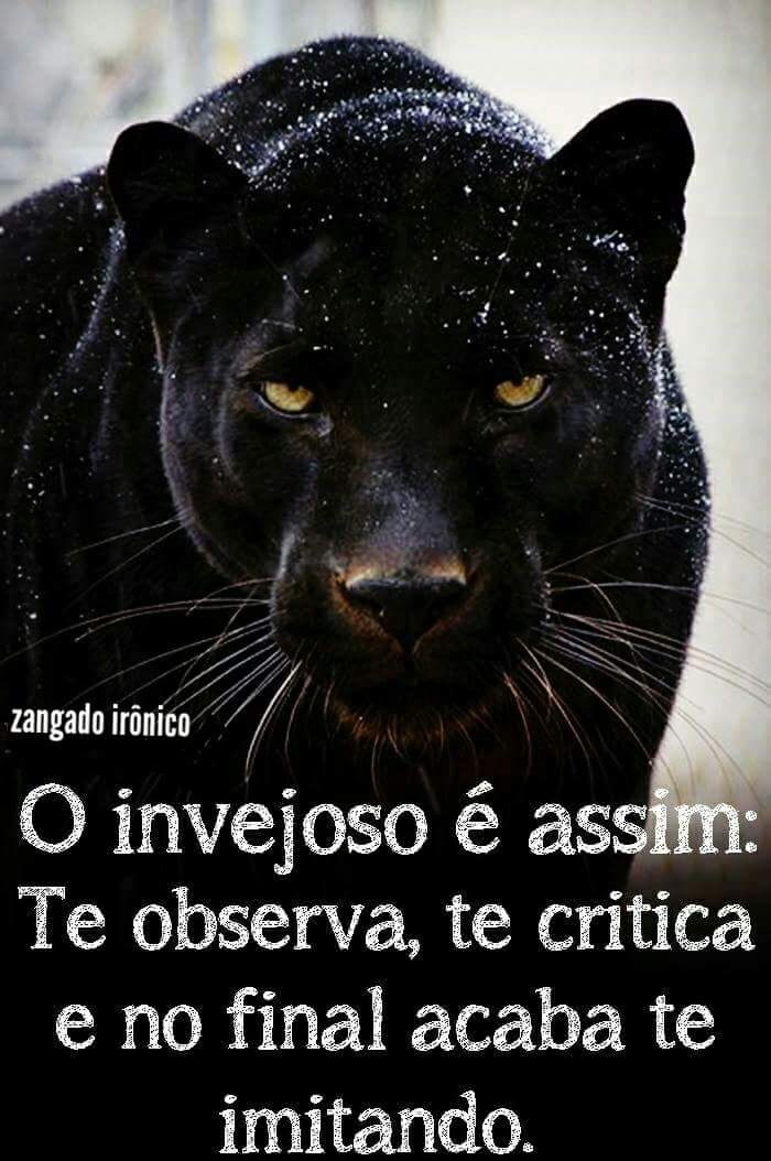 Jonata tim beta (@th31851) on Twitter photo 