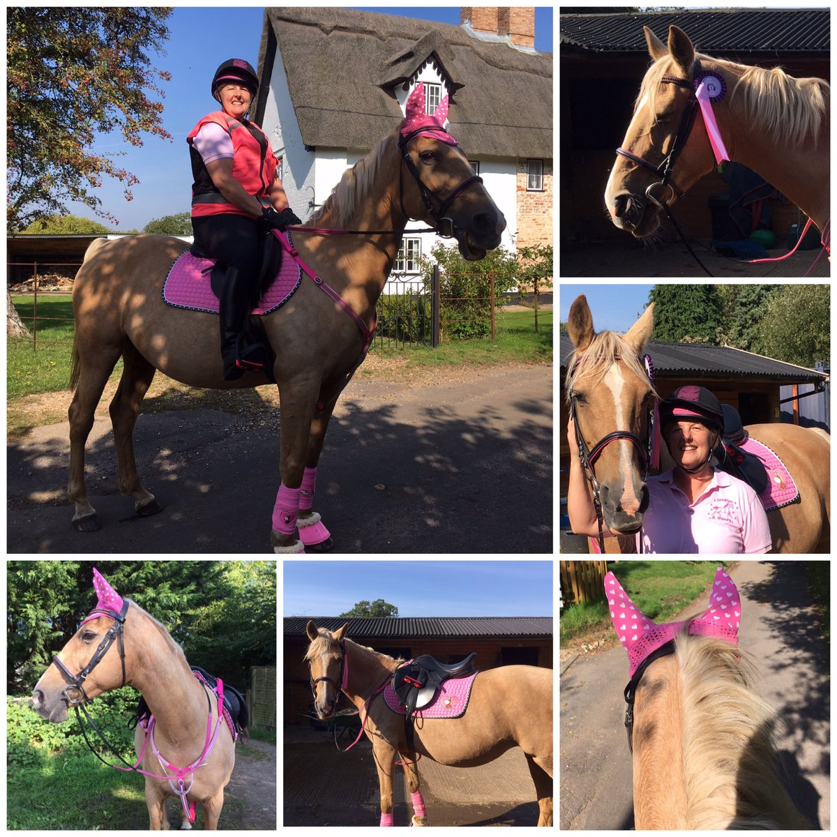 Jocelyn Simmons tweet media