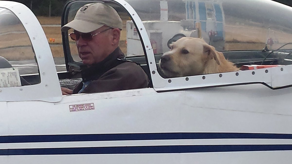 PilotsNPaws's tweet photo. Jericho, a wonderful boy was on the kill list &amp; wouldn't be alive if not for his PNP Freedom Flight with Pilot Chris. #IPDR @PamGrier https://t.co/xWrzQ27Rsu