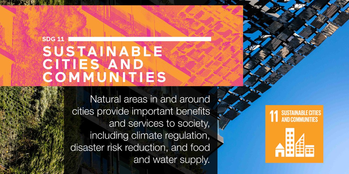 IUCN's tweet photo. As cities expand, the benefits of natural areas in and around them become even more important https://t.co/lYCvogDFRQ #GlobalGoalsWeek https://t.co/ZwYN9S4ETk