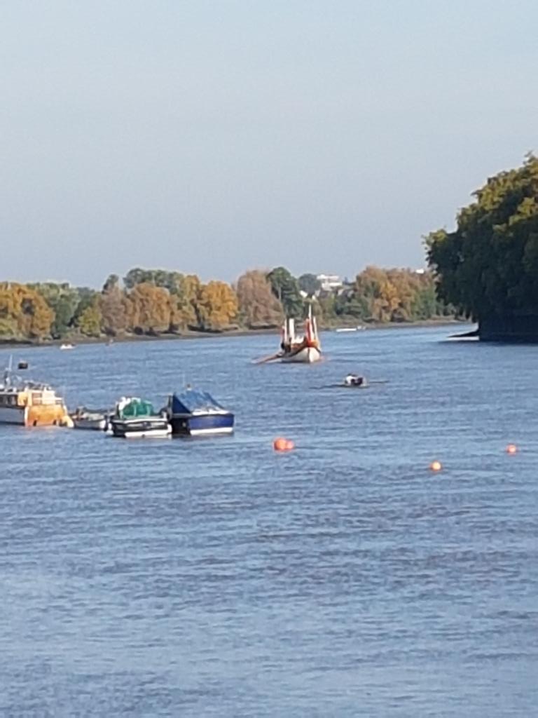 Glorow Hashtag On Twitter