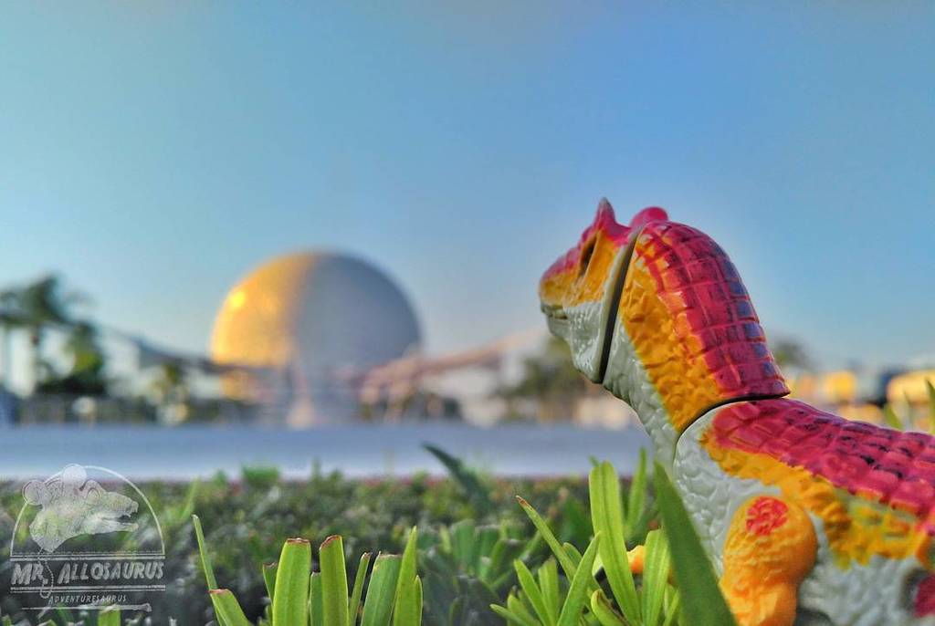 Mr_Allosaurus's tweet photo. I can always enjoy a good #SpaceshipEarthSunday photo. #majestic 🚀🌎🌐
_
_____
#sunsetinthepark #closeup #experiment… https://t.co/OB7nPwQzGZ https://t.co/VxESv2eNI3